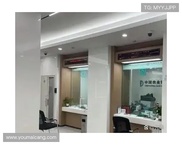 凯发国际开户如何保障账户安全多重措施保护你的资金与个人信息