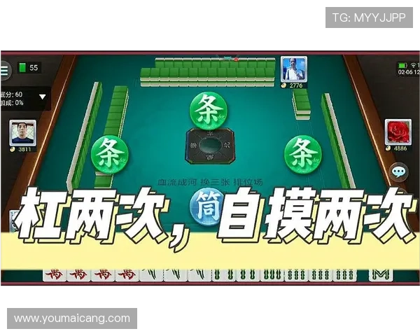 凯发二人麻将安全保障措施，确保玩家游戏体验的公平与放心