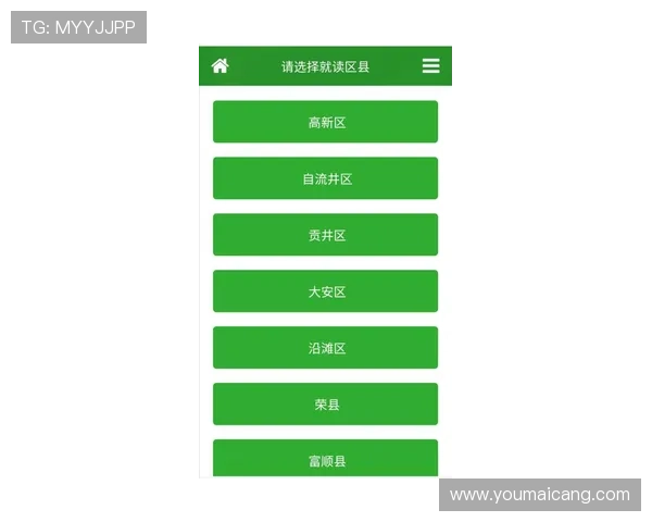 凯发首页地址如何登录确保顺利进入平台的详细操作指南
